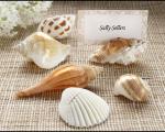 shells by the sea authentic shell placecard holders with matching placecards